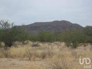 TERRENO CAMPESTRE REAL DEL CATORCE L97