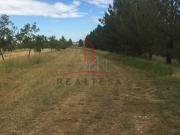 Terreno Campestre Venta carretera Chihuahua Juárez...