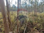 Terreno, Campo e Sobrado