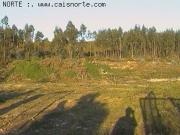 Terreno, Campo e Sobrado, Valongo | BPI Expresso Imobiliário