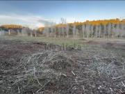 Terreno, Can Puiggener, Sabadell