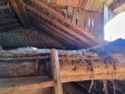 Terreno, Canal de Berdún