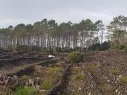 Terreno, Candelária, Madalena | BPI Expresso Imobiliário