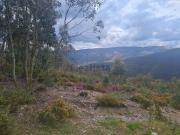 Terreno, Canelas e Espiunca