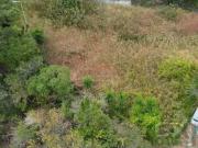 Terreno, Caniço, Santa Cruz | BPI Expresso Imobiliário