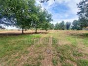 Terreno, Cardielos e Serreleis, Viana do Castelo | BPI...