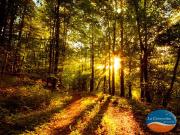 Terreno Carilo USD 198.000