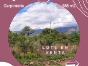 Terreno Carpinteria