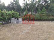 Terreno, Carreira e Fonte Coberta, Barcelos | BPI...