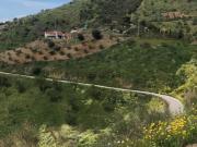 Terreno, Casabermeja