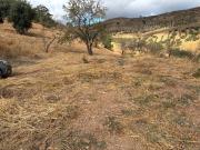 Terreno, Casabermeja