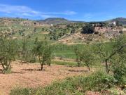 Terreno, Casabermeja