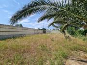 Terreno, Casablanca, Zaragoza