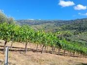 TERRENO CASE BIANCHE