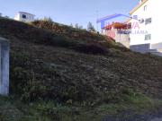 Terreno, Castanheira de Pêra e Coentral, Castanheira de...
