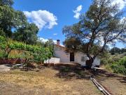 Terreno, Castañar de Ibor