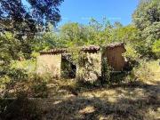 Terreno, Castaño del Robledo