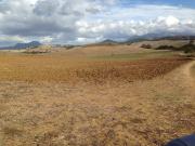 Terreno, Castellar de la Frontera