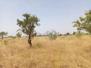 Terreno, Castelldans