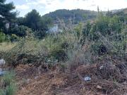 Terreno, Castellet i la Gornal