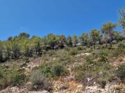Terreno, Castellet i la Gornal