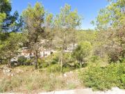 Terreno, Castellet i la Gornal