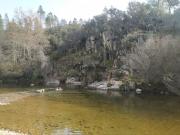 Terreno, Castelo Branco, Castelo Branco | BPI Expresso...