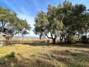 Terreno, Castelo Branco, Castelo Branco | BPI Expresso...