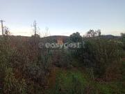 Terreno, Castelo Branco, Castelo Branco | BPI Expresso...