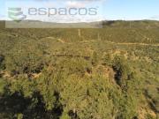 Terreno, Castelo Branco, Castelo Branco | BPI Expresso...