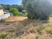 Terreno, Castelo Branco, Castelo Branco | BPI Expresso...