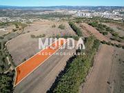 Terreno, Castro de Avelãs