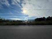 Terreno, Celeirós, Aveleda e Vimieiro, Braga | BPI...