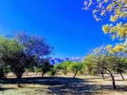 Terreno céntrico de 1.000 2.500 y 5.000 con gas natural...