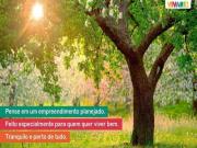 Terreno, Centro, Viamão, RS