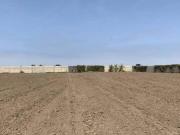 TERRENO CERCADO MUY BIEN UBICADO