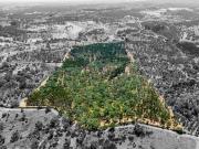 Terreno, Cercal, Santiago do Cacém | BPI Expresso...