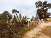 Terreno cercano al centro de algarrobo Terreno cercano al centro de algarrobo