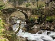 Terreno, Cerdedo Cotobade