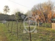 Terreno, Cernache, Coimbra | BPI Expresso Imobiliário