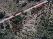 Terreno, Cernache, Coimbra | BPI Expresso Imobiliário