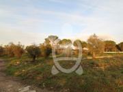 Terreno, Cernache, Coimbra | BPI Expresso Imobiliário