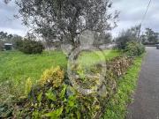 Terreno, Cernache, Coimbra | BPI Expresso Imobiliário