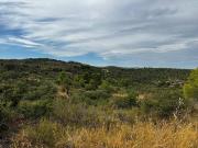 Terreno, Cerviá de les Garrigues
