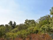 Terreno, Chãos, Ferreira do Zêzere | BPI Expresso...