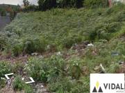 TERRENO CHÁCARA FLORA