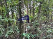 Terreno à venda em Itupeva SP, bairro Chácaras do...