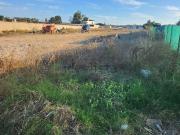Terreno, Chiclana de la Frontera