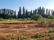 Terreno, Chicureo Centro