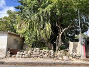 Terreno Chuburna de Hidalgo, cerca del Mercado 800m2